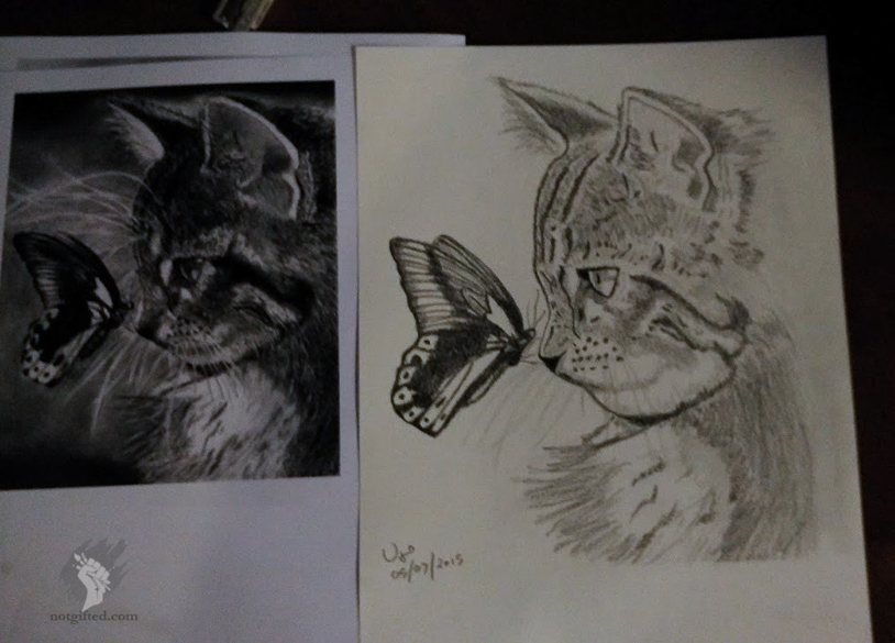 Cat drawing