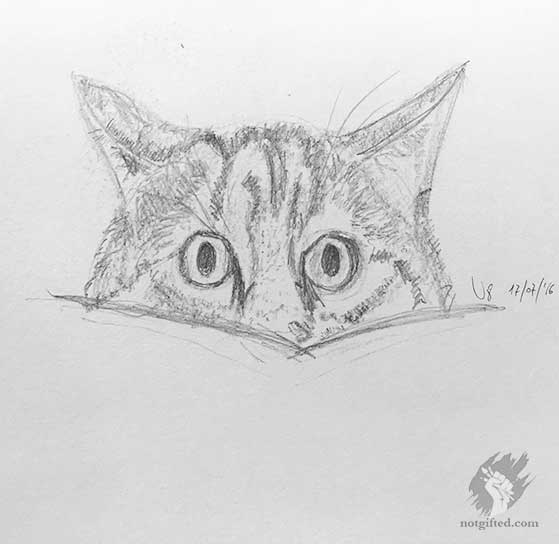 Cat peeking through - sketch - NotGifted