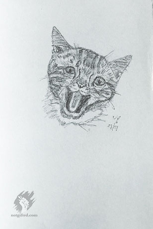 Angry cat, Here is a pencil drawing of a cat.The use of col…