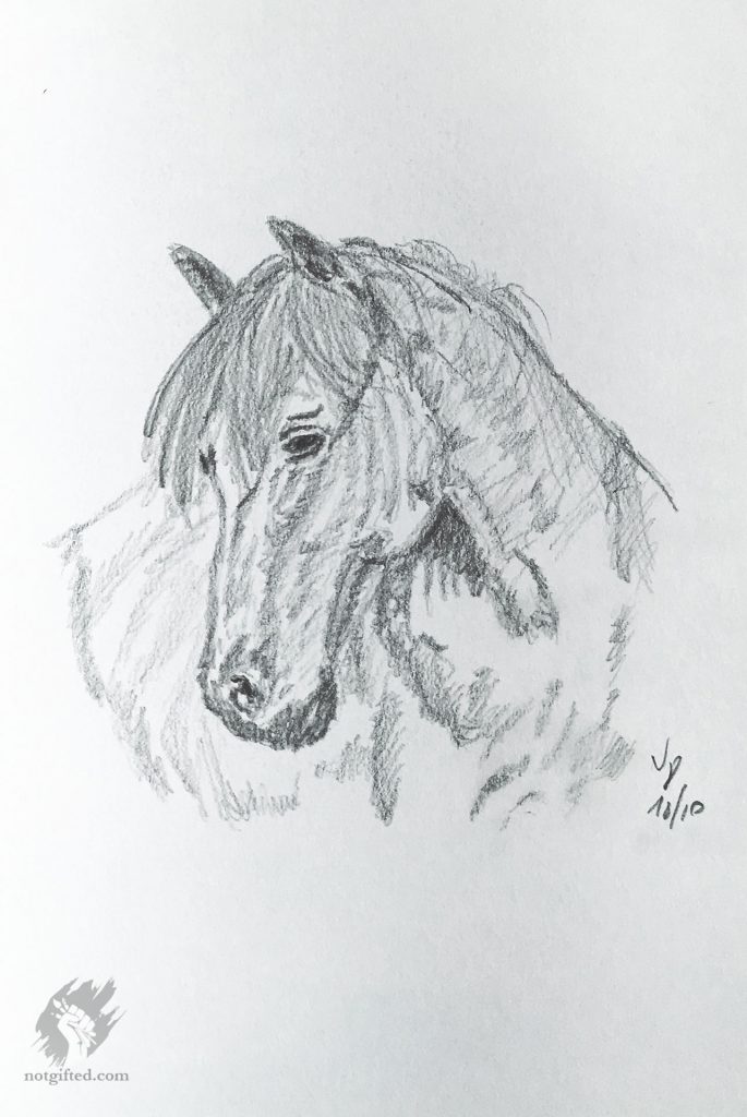 Horse drawing