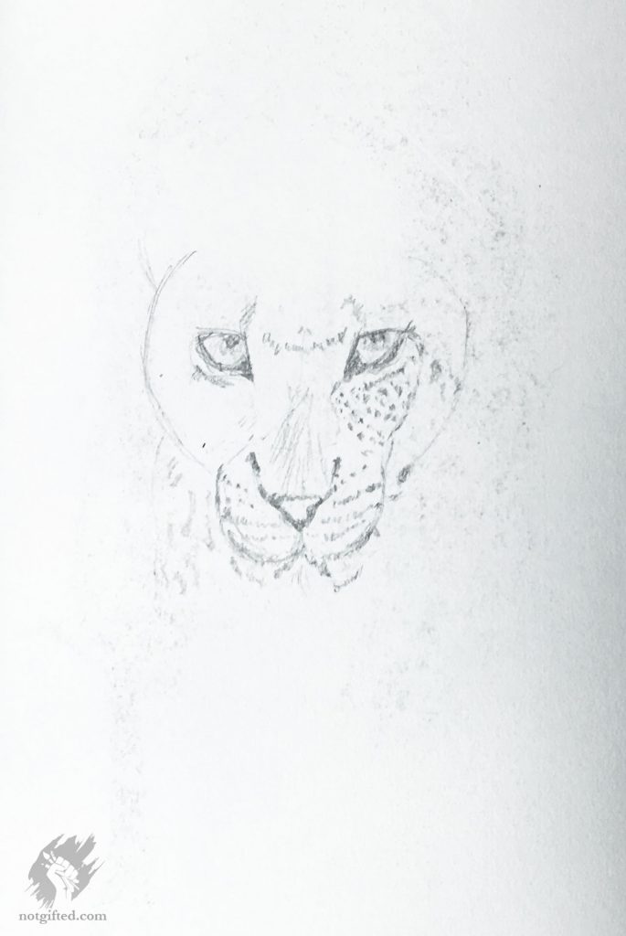 Tiger sketch