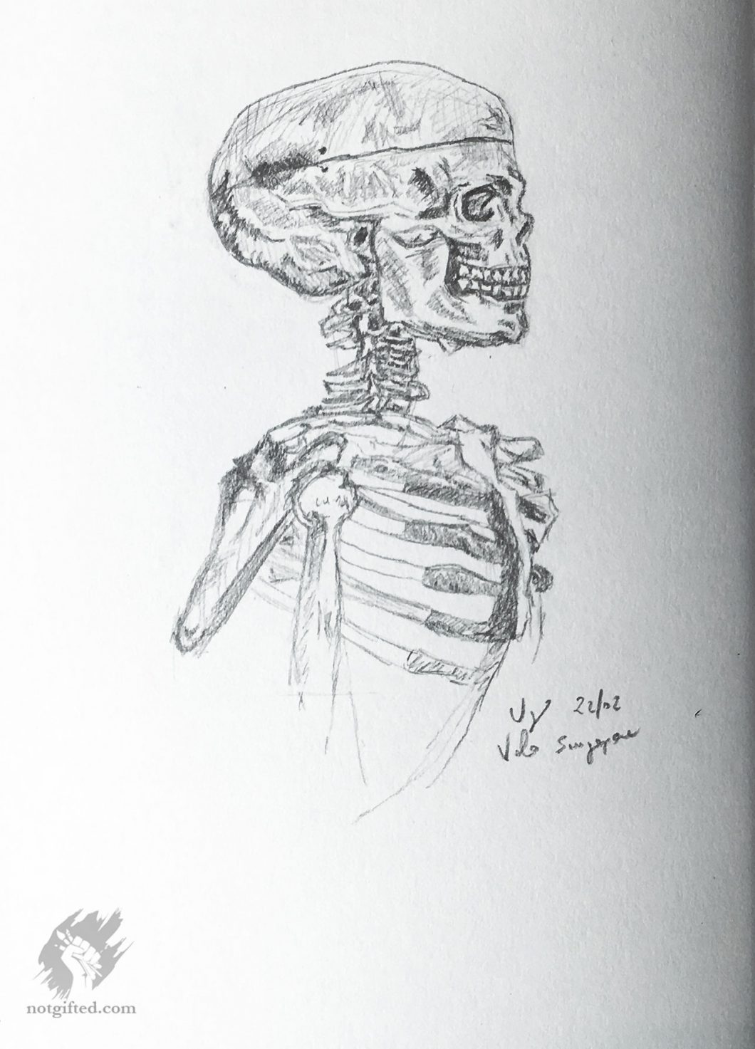 Skeleton drawing