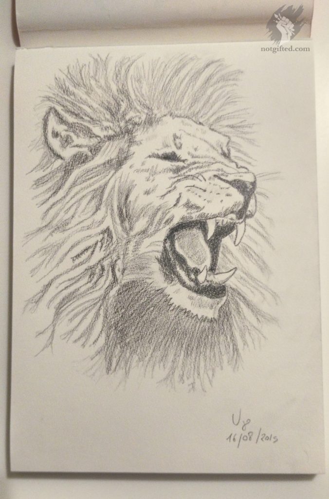 Lion drawing