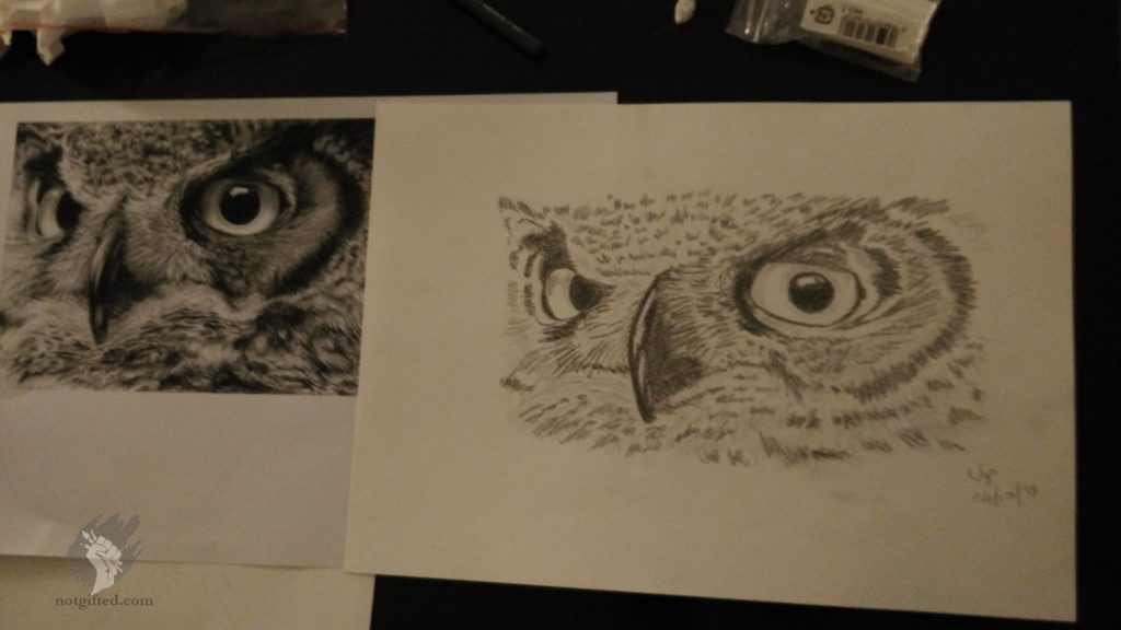 Owl drawing