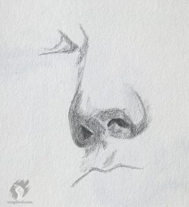 nose study drawing - 6